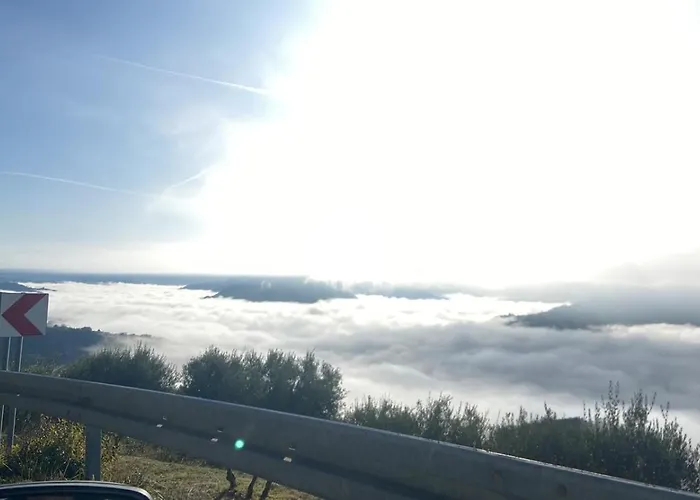 Cali *