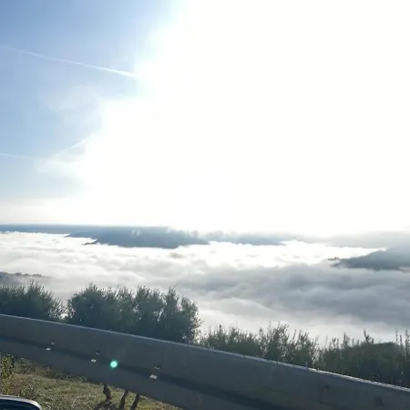 Cali *